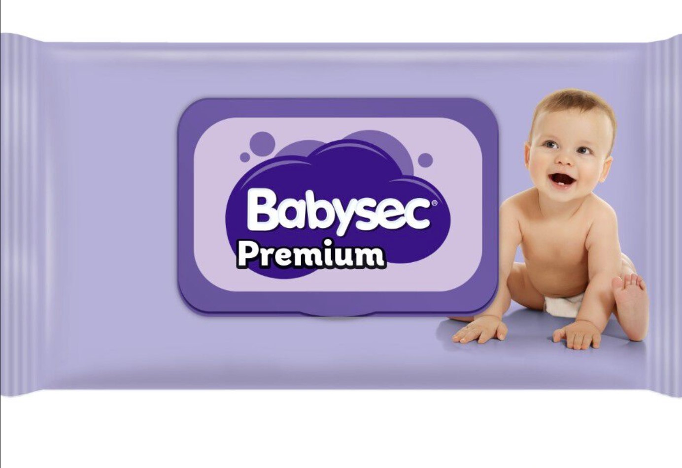 TOALLITAS HUMEDAS BABYSEC PREMIUM 45 UNIDADES