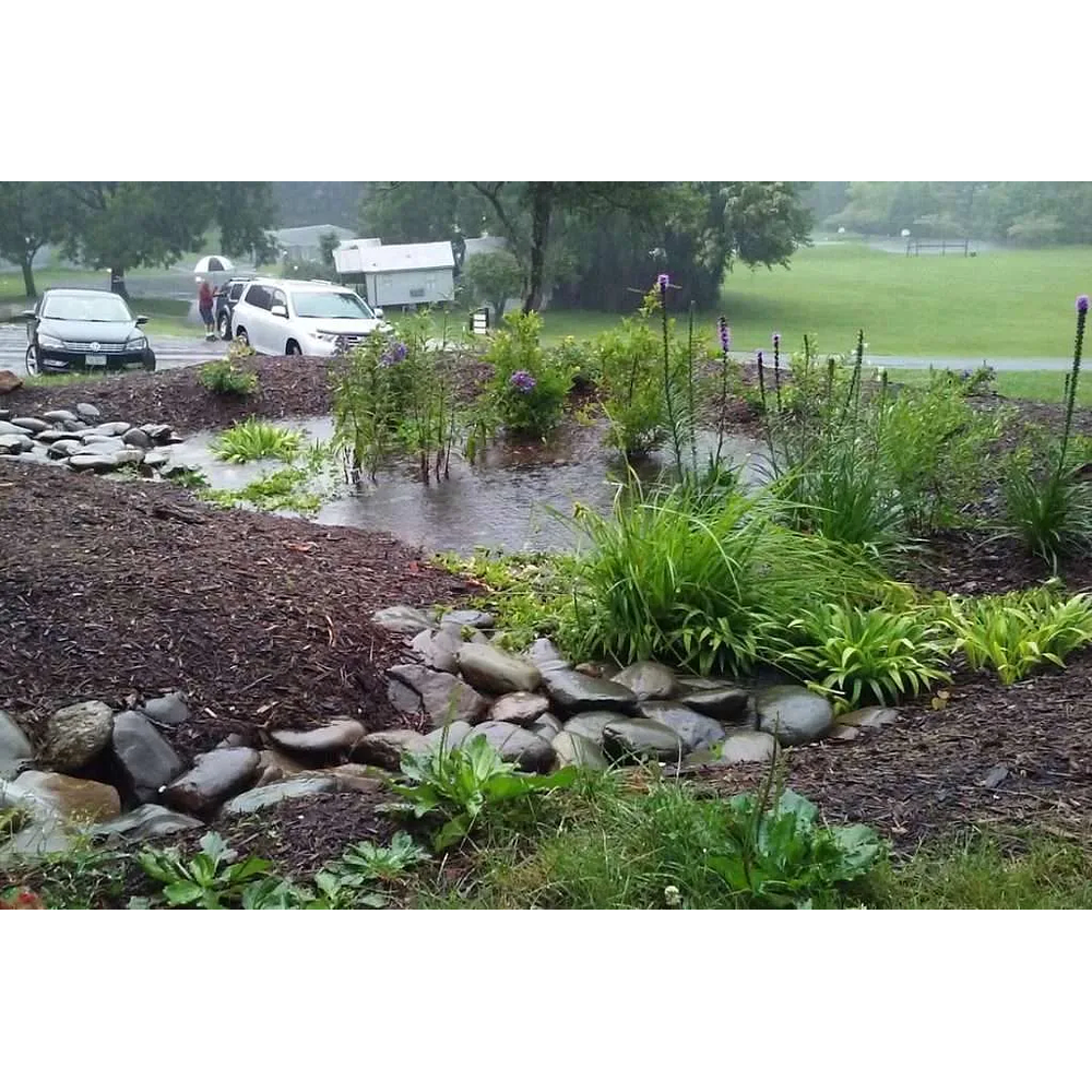 Jardín de lluvia