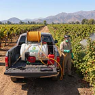 Servicio de fumigación agrícola profesional 2