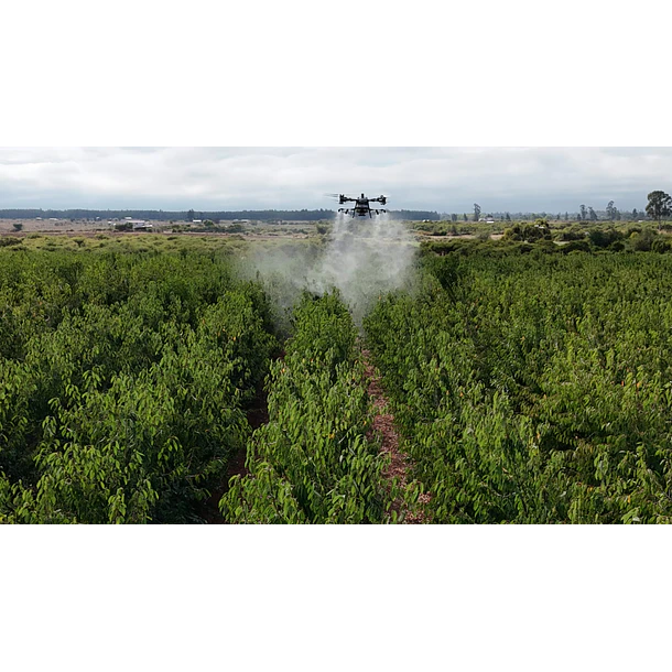 Servicio de Fumigacion profesional con Dron T-100 - Kit Frutal 1