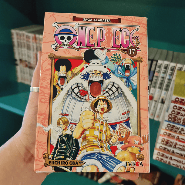 ONE PIECE 17