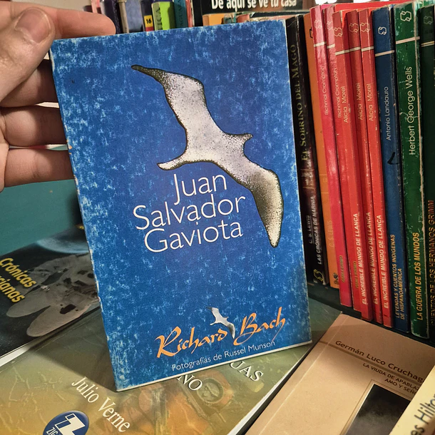 Juan Salvador Gaviota