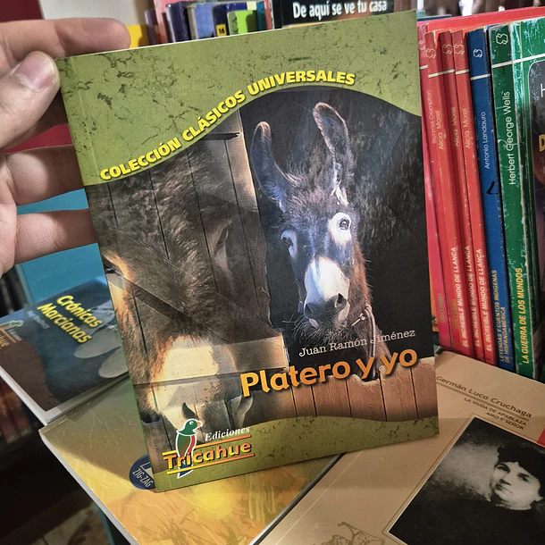 Platero y yo