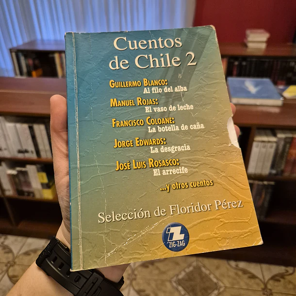 Cuentos de Chile 2