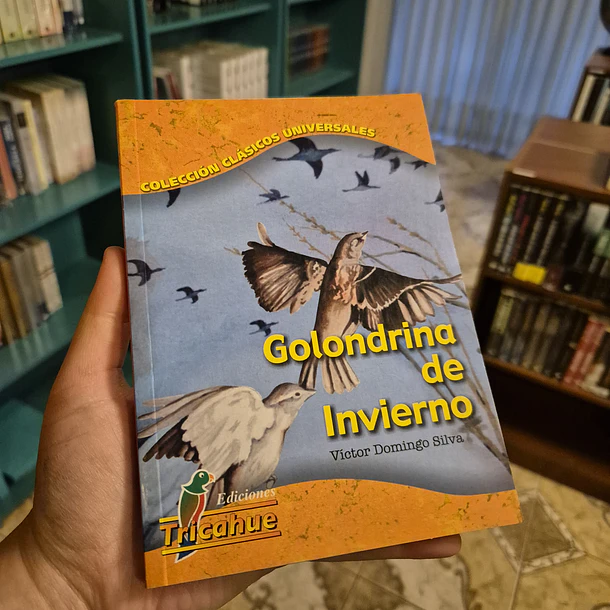 Golondrina de invierno
