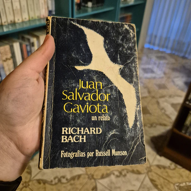 Juan Salvador Gaviota