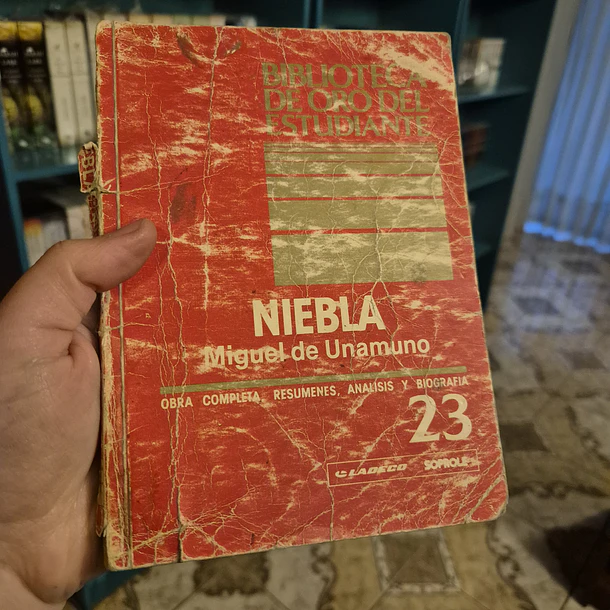 Niebla
