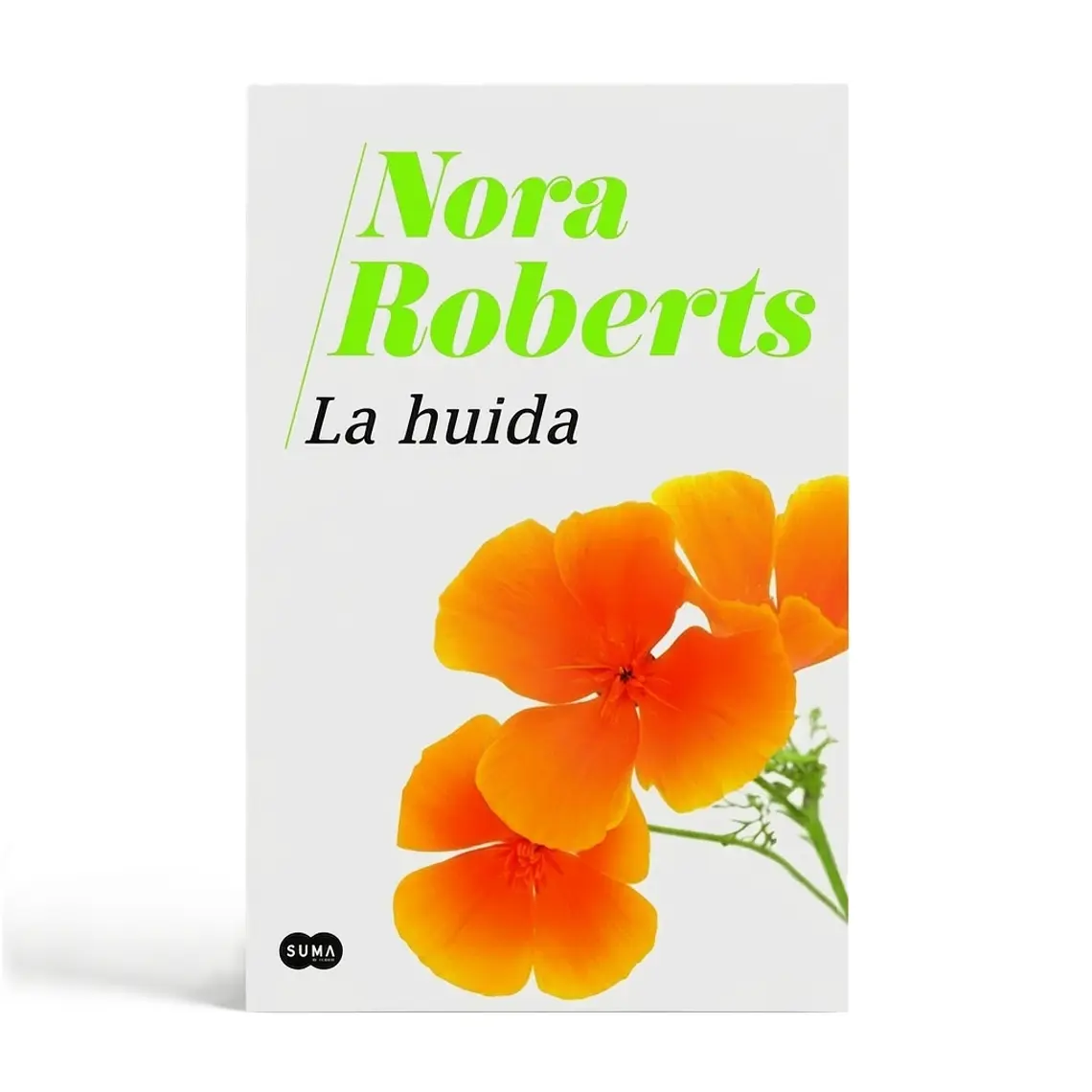 La huida 1