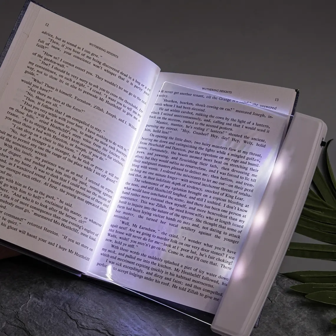 Luz LED para lectura nocturna  1