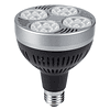 AMPOLLETA LED PAR30 35W