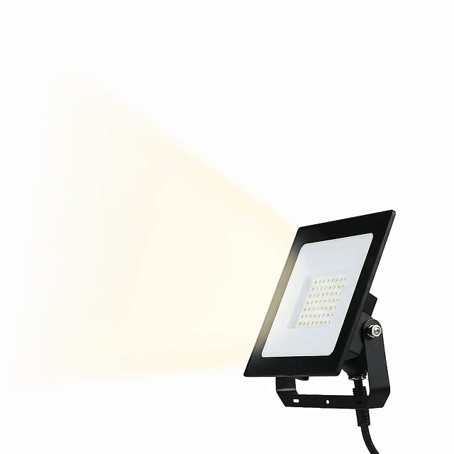 PROYECTOR LED DS1 30W