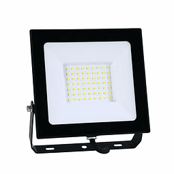 PROYECTOR LED DS1 30W