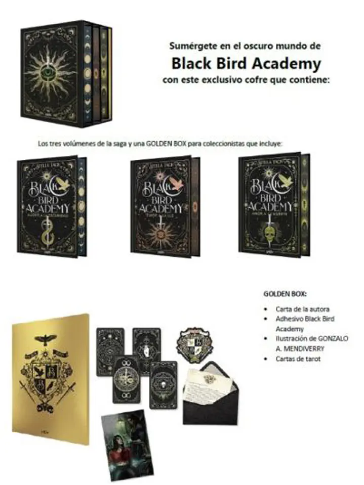 Cofre Black Bird Academy  2