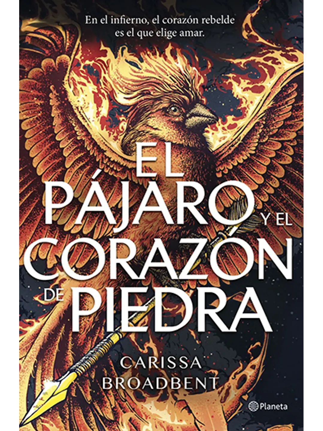 El pájaro y el corazón de piedra 1