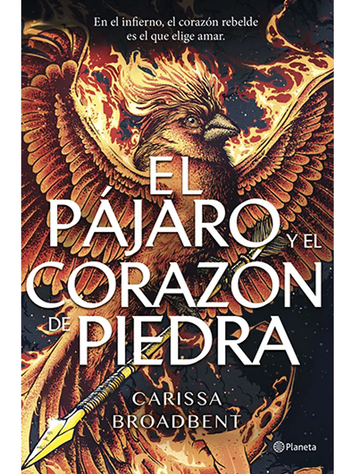 El pájaro y el corazón de piedra 1