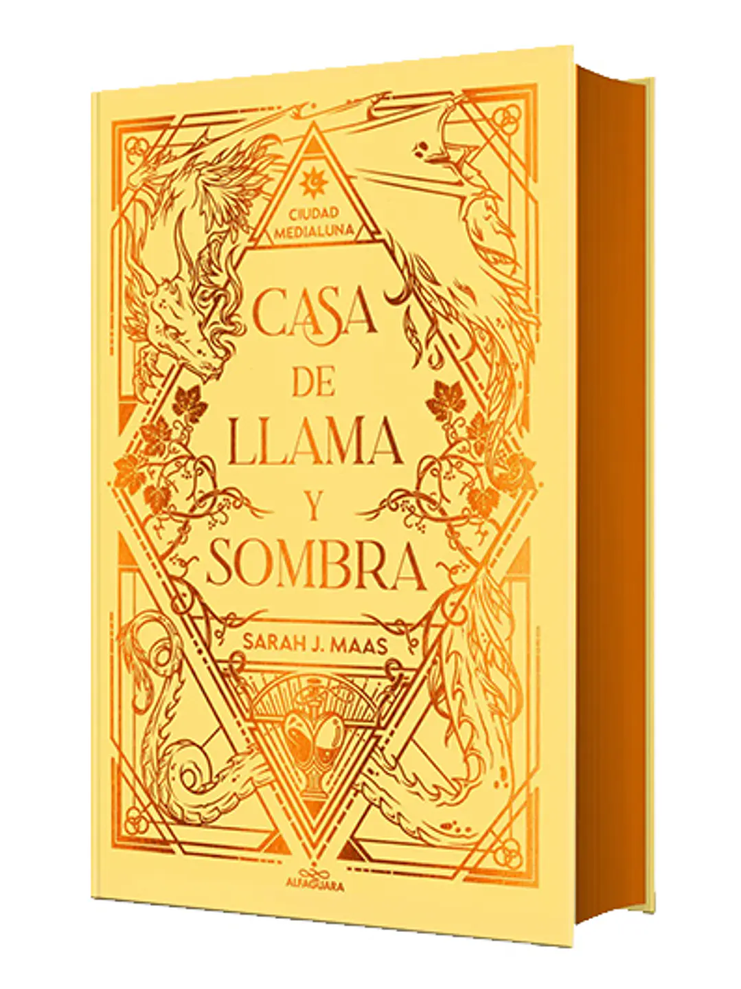 Ciudad Medialuna 3: Casa de llama y sombra (edición especial)  1