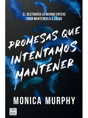 Promesas que intentamos mantener