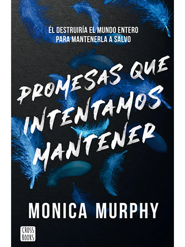Promesas que intentamos mantener 1