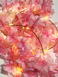 Flores con luces - Miniatura 1
