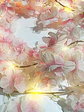 Flores con luces - Miniatura 3