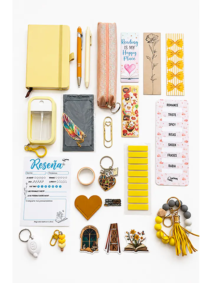 LeeBox Lectora 8
