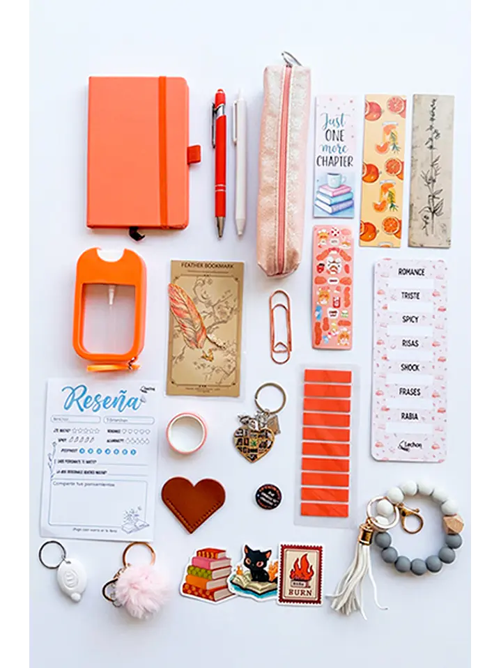 LeeBox Lectora 13