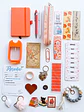 LeeBox Lectora - Miniatura 13