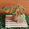 Arbolito de naranjas de crochet