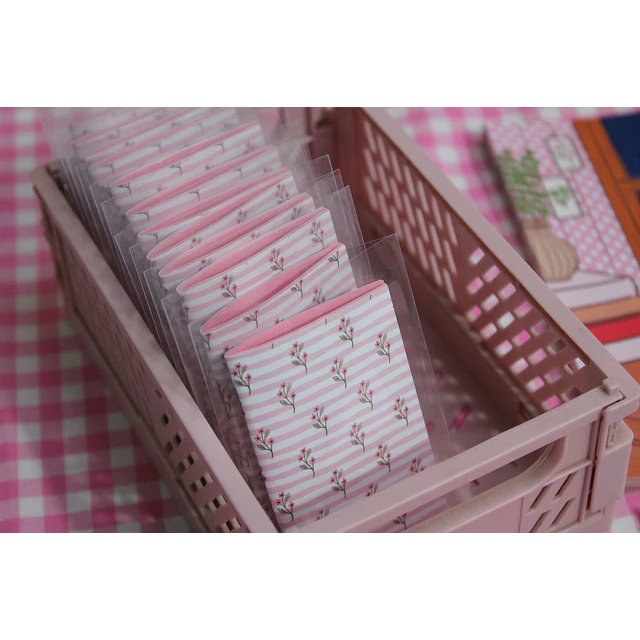 Snail Mail (Correo Caracol) Mes de Agosto
