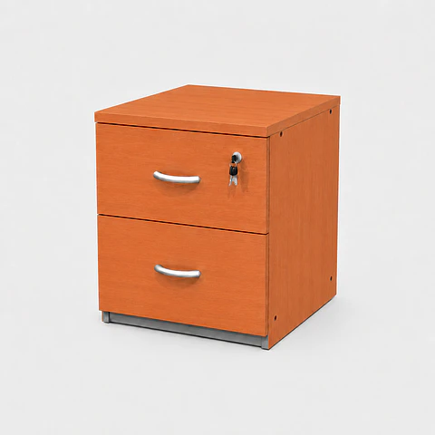 Mueble Kardex 2 cajones