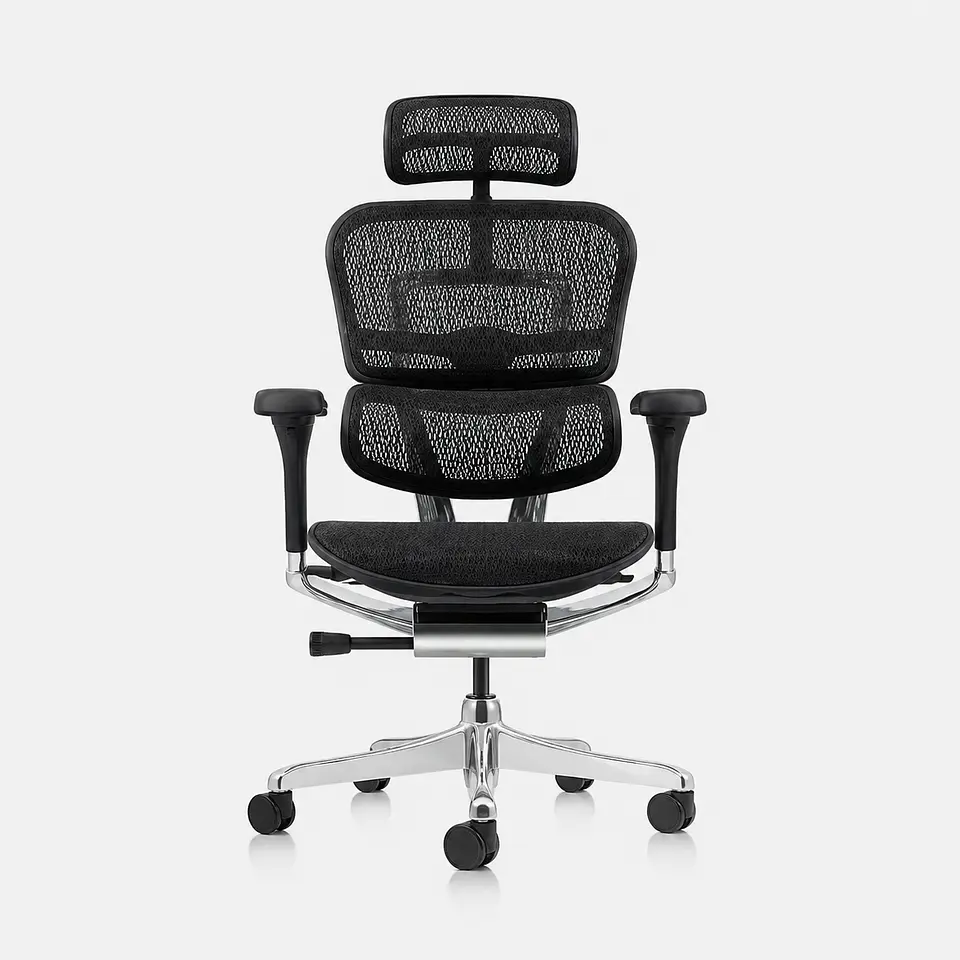 Silla oficina ErgoHuman Elite 1