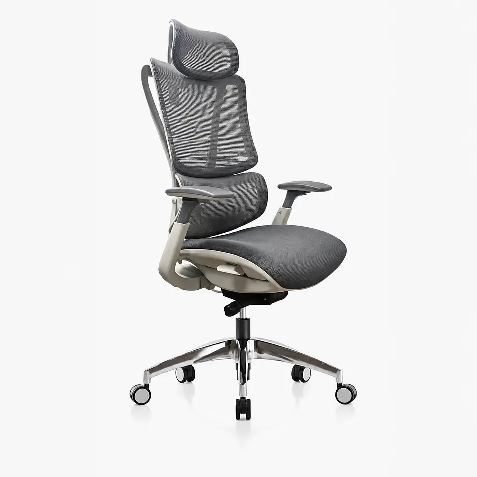 Silla oficina Ergopop 1