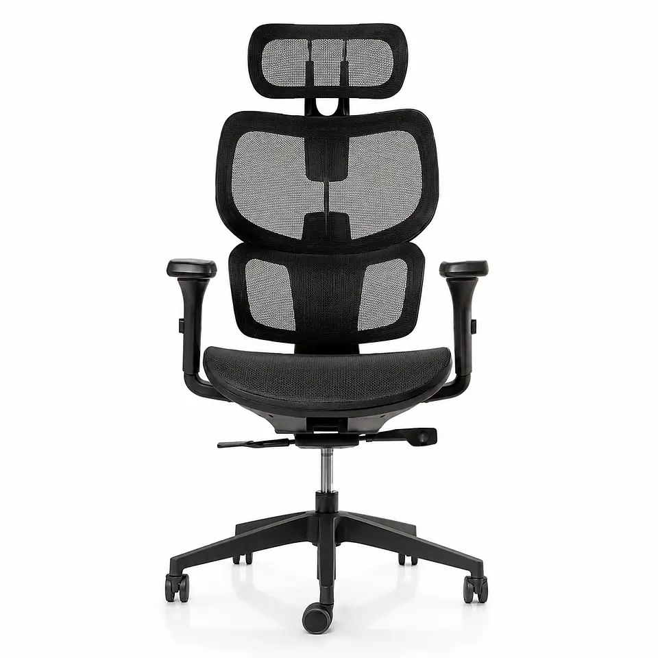 Silla oficina Ergoplus  1