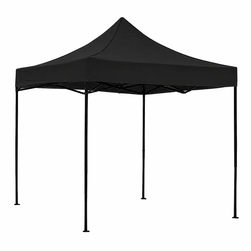 Toldo 2x2 1