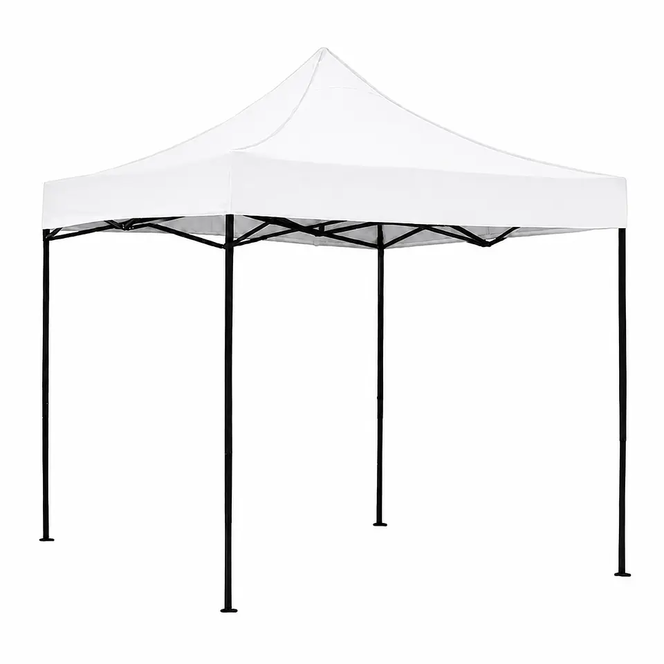 Toldo 2x2 5