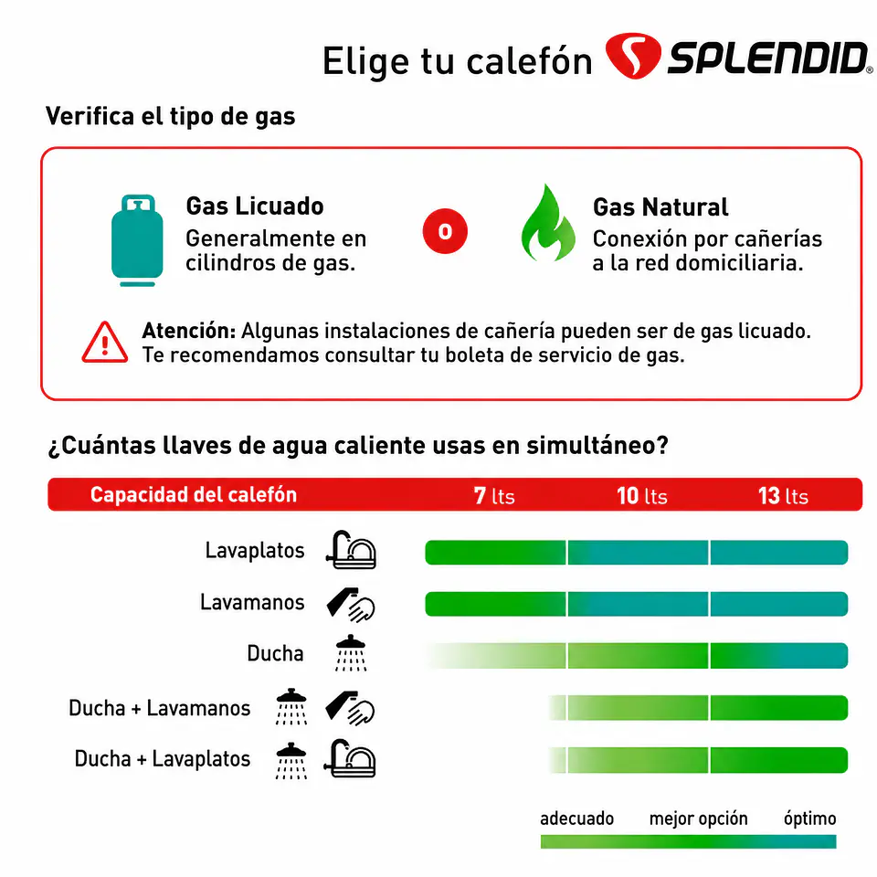 Calefont 10 litros Gas natural Tiro forzado Splendid 5