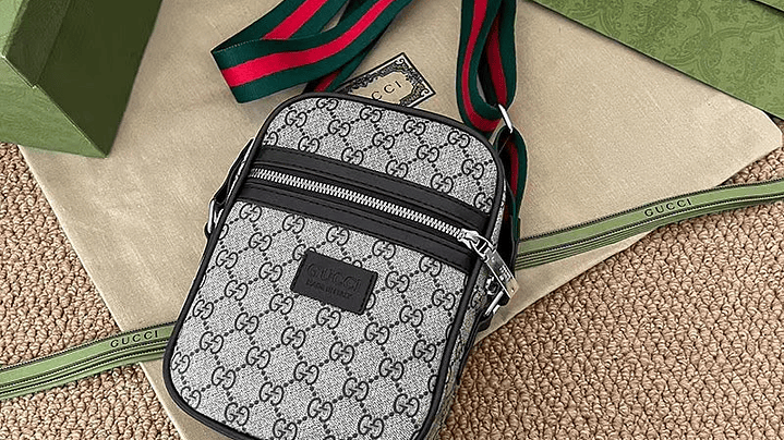 Bolso Gucci gris 1