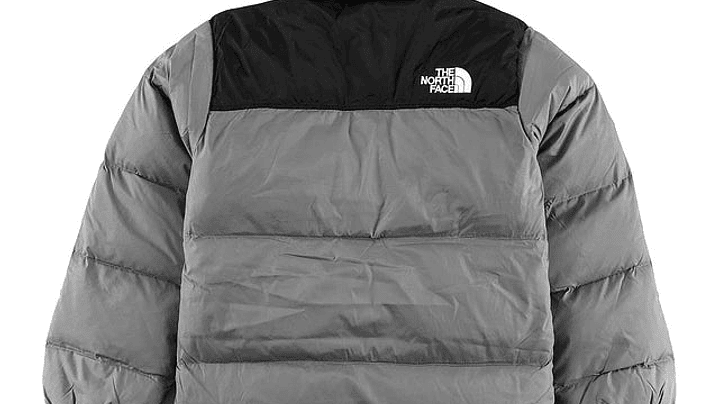 Chaqueta The north face nuptse gris 2