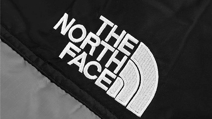 Chaqueta The north face nuptse gris 4