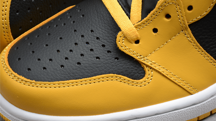 Jordan 1 High Pollen 4