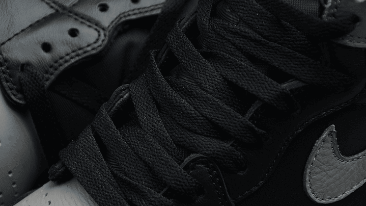Jordan 1 High Shadow 5