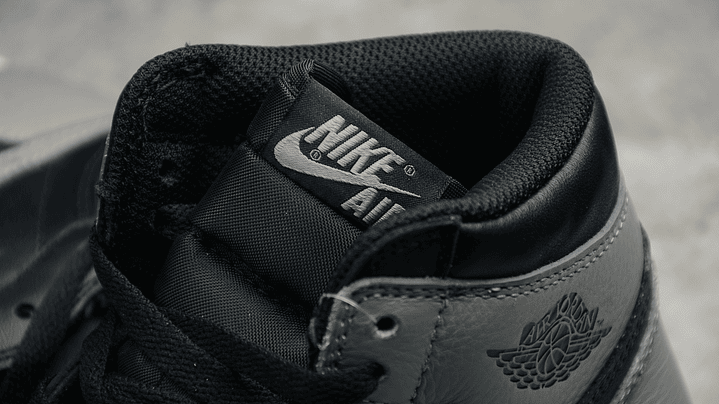 Jordan 1 High Shadow 4