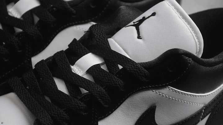 Jordan 1 Low Panda 4