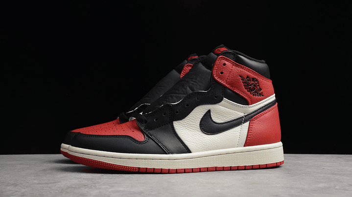 Jordan 1 high bred toe 2