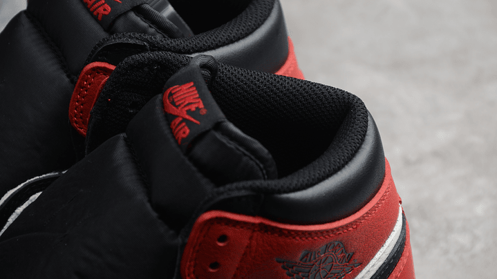 Jordan 1 high bred toe 6