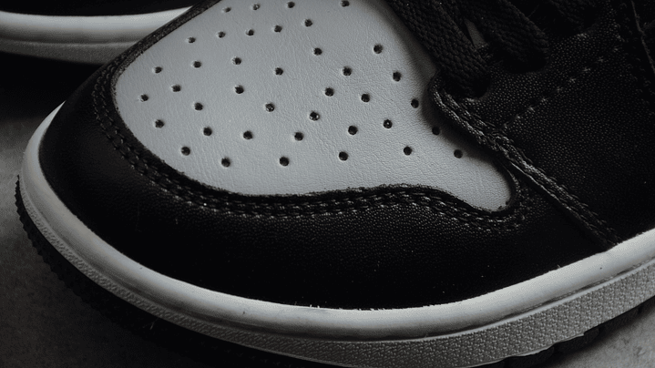 Jordan 1 low golf shadow 5