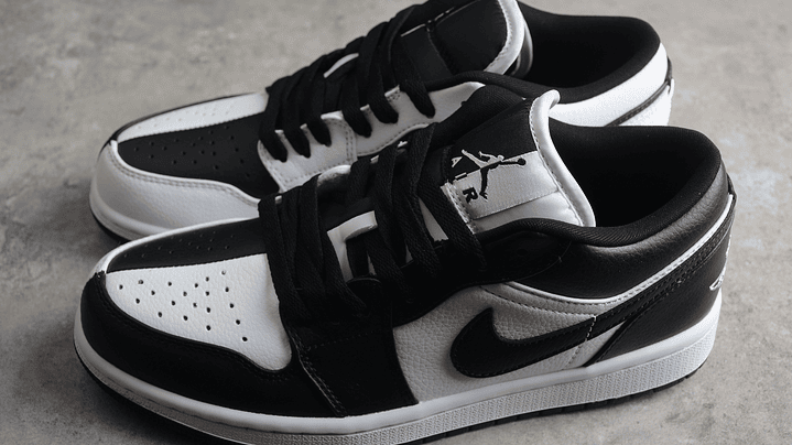 Jordan 1 low homage 4