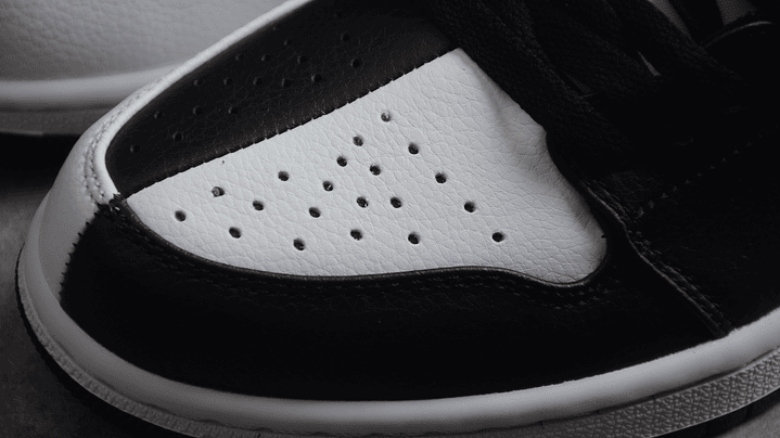 Jordan 1 low homage 5