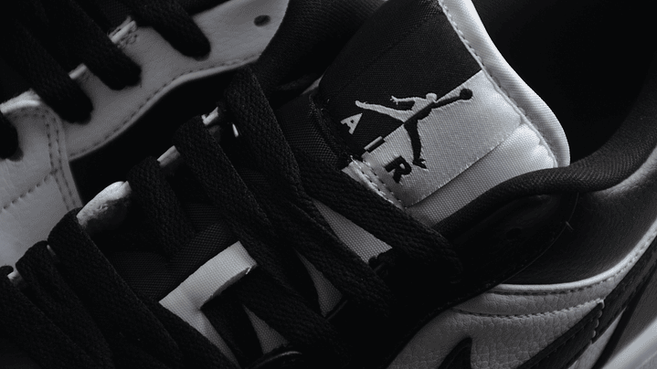 Jordan 1 low homage 6