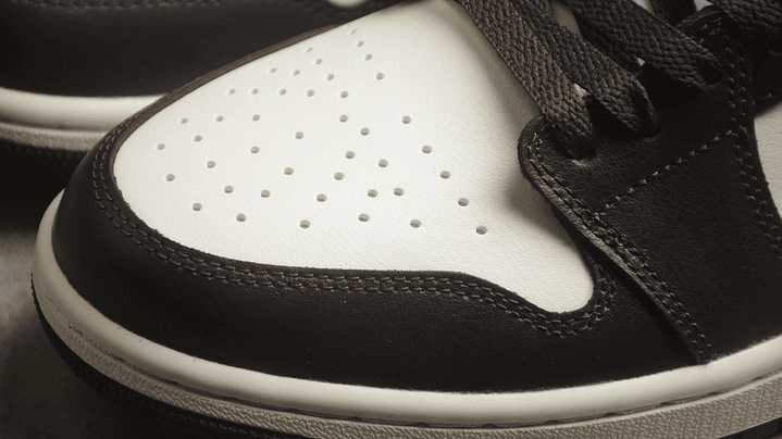 jordan 1 low shadow brown 5